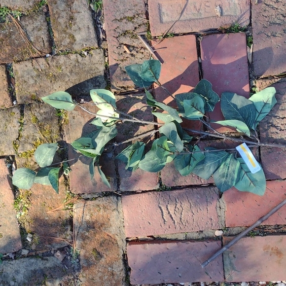 FLORALS - Picture 5 of 6